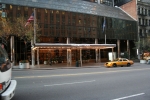 IMG_2341.jpg
