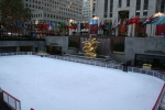 IMG_2347.jpg