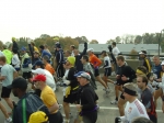 DSC07254.jpg