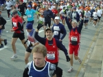 DSC07264.jpg