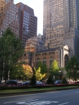 DSCN0786.jpg