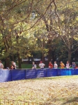 marathon_franci_05.11.2006_0068.jpg