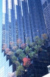 03.11.2006_0193.jpg