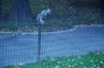 03.11.2006_0204.jpg
