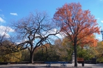 03.11.2006_0226.jpg