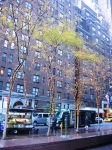 03.11.2006_0092.jpg