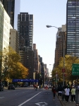 Nyc2006 033.jpg