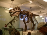 Nyc2006 166.jpg