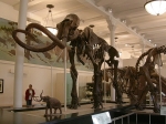 Nyc2006 171.jpg