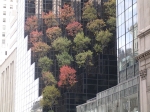 Nyc2006 200.jpg