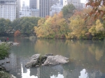 Nyc2006 204.jpg