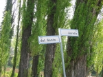 padova_vigiliagara_04.2006_0210.jpg