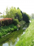 padova_vigiliagara_04.2006_0245.jpg