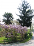 padova_vigiliagara_04.2006_0248.jpg