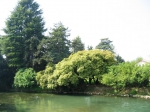 padova_vigiliagara_04.2006_0265.jpg