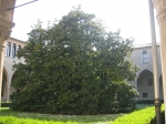 padova_vigilia&gara_04.2006_0030.jpg