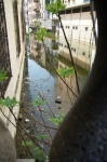 padova_vigilia_22.04.2006_0042.jpg