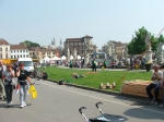 202.jpg