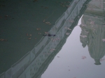 padova2006 086.jpg