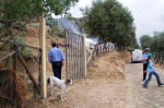 corrialia_gurfa_06_0057.jpg