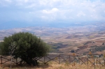 corrialia_gurfa_06_0063.jpg