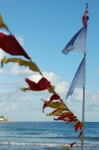 100_0080.jpg
