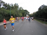050.jpg