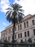 167.jpg