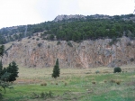 221.jpg