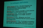 Nome del file=tavroton._17.11.06_0022.jpg
Dimensione del file=126KiB
Dimensioni=1024x681
Aggiunta il=27 Nov 2006 tavroton._17.11.06_0022.jpg