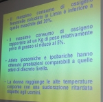 Nome del file=tavroton._17.11.06_0052.jpg
Dimensione del file=174KiB
Dimensioni=1024x1018
Aggiunta il=27 Nov 2006 tavroton._17.11.06_0052.jpg