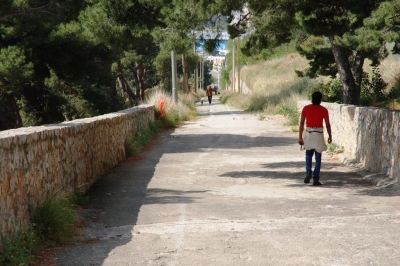 Clicca per vedere l'immagine alla massima grandezza