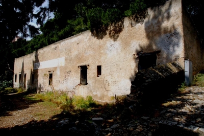 Clicca per vedere l'immagine alla massima grandezza
