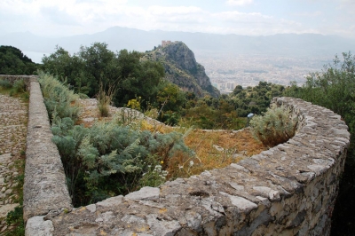 Clicca per vedere l'immagine alla massima grandezza