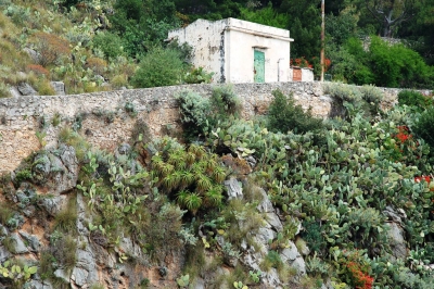 Clicca per vedere l'immagine alla massima grandezza