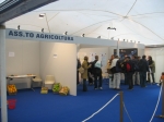 Immagine 136.jpg