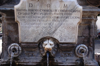 Clicca per vedere l'immagine alla massima grandezza