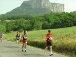podistinet 278.jpg