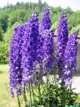 gara_25.06_0132.jpg