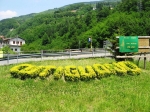 gara_25.06_0184.jpg