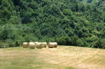 post-gara_25.06_0026.jpg