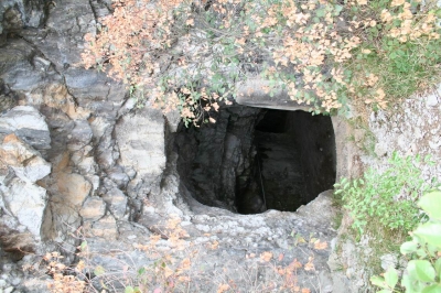 Clicca per vedere l'immagine alla massima grandezza