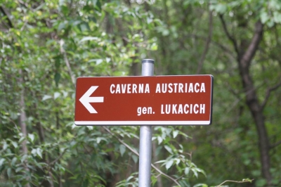 Clicca per vedere l'immagine alla massima grandezza