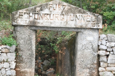 Clicca per vedere l'immagine alla massima grandezza
