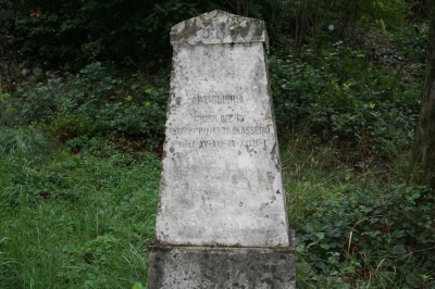 Clicca per vedere l'immagine alla massima grandezza