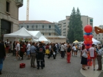 DSCF0010.JPG