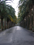Hybla_Marathon_22.01.20060227.jpg