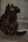 DSC_0169.jpg
