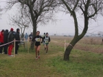 CROSS REGINALE  RAVENNA 15 GENNAIO 2006 012.jpg