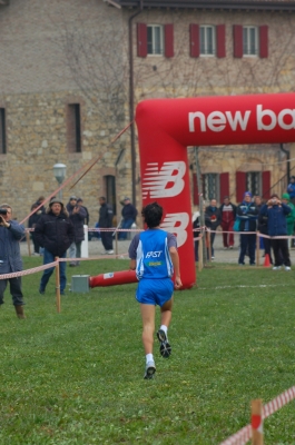 Clicca per vedere l'immagine alla massima grandezza